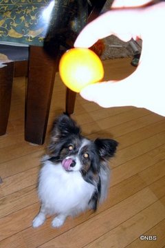 画像 171.jpgのサムネール画像のサムネール画像