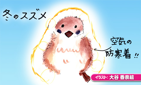 0120_suzume.jpg