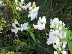 IMG_8155.JPG