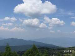 IMG_8288.JPG
