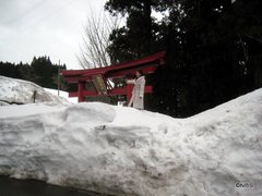 画像 392-1.jpg