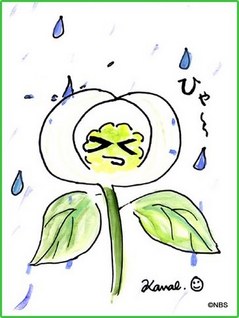 絵