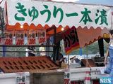 きゅうり1