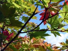 091010_4.jpg