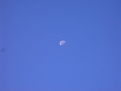 091010_6.jpg