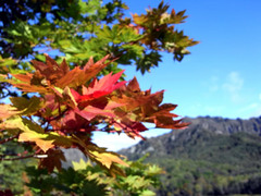 091010_7.jpg