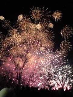 長野えびす講花火
