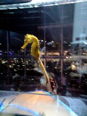 0919_4.jpg
