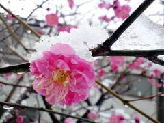 日差しの温もりのもとで 2