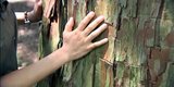 スピリチュアルな場所1