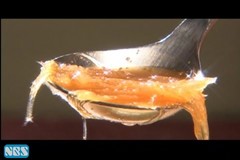 大谷アナのスープ3