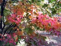 1106_6.jpg