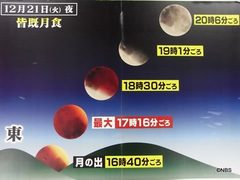 見るポイント