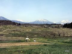 大パノラマの景色が楽しめました♪