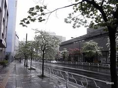 雨が。。。。。