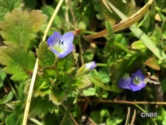 IMG_4185.JPG