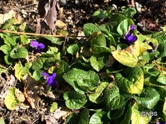 IMG_6441.JPG