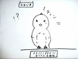 ちゅん！？