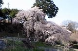 まさに芸術的!