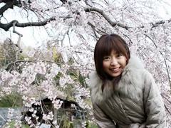 気持ちが洗われます
