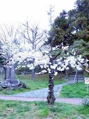 o0417_1.jpg