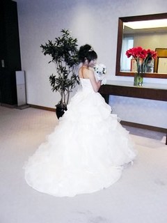新しいモデルのドレスだそうです