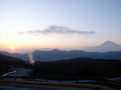 ootani0206_3.jpg