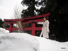 torii-1.jpg