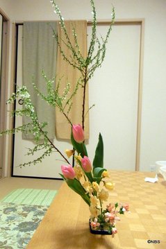 春の花.jpg