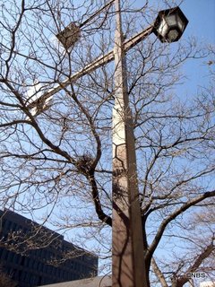 画像 004.jpg