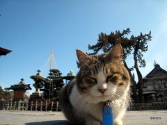 画像 012-001.jpg