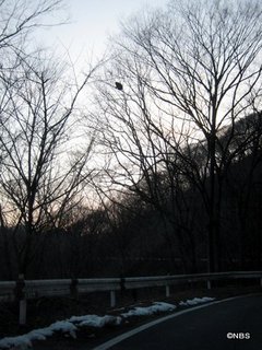 画像 024.jpg