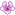 icon:flower_purple