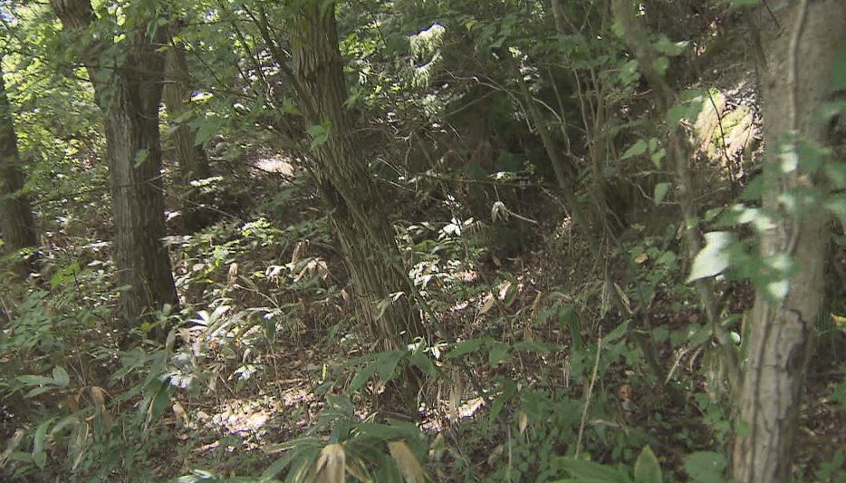 【終戦78年】「本土決戦」に向けた新たな壕か…長野市篠ノ井共和地区で確認 近くで高射砲陣地も計画か 長野県内のニュース NBS 長野放送