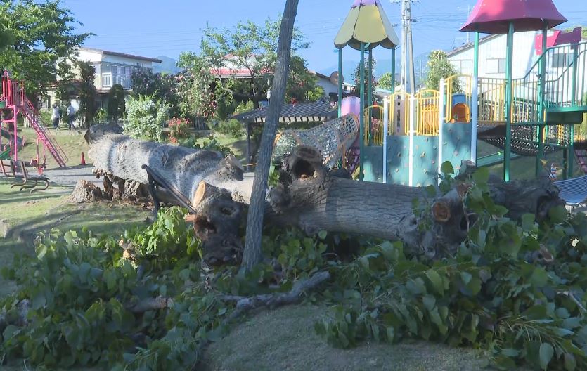 c_image1.jpg?v=1716637668