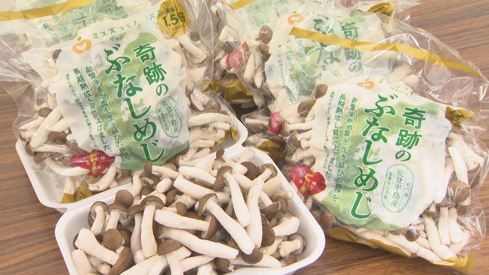 c_image1.jpg?v=1728383649