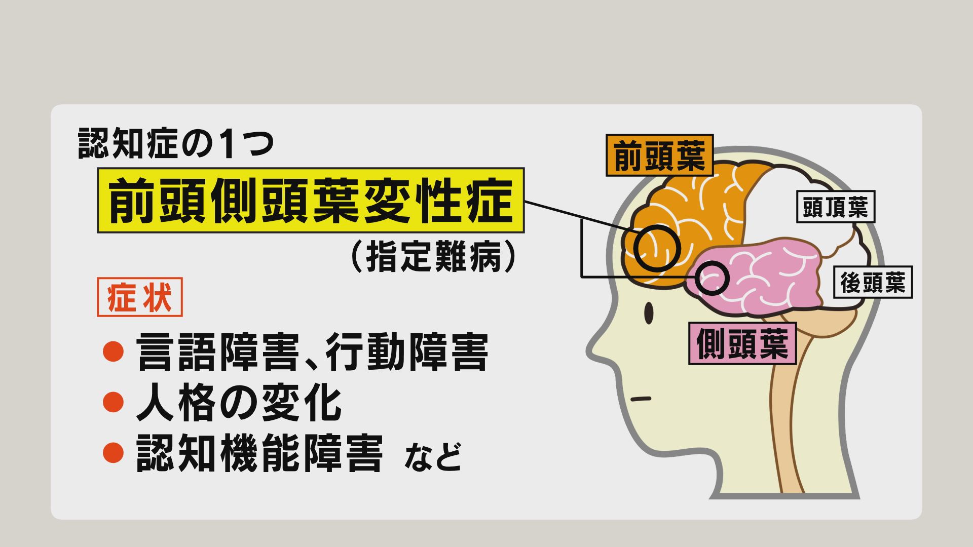 青木恭子　性交 