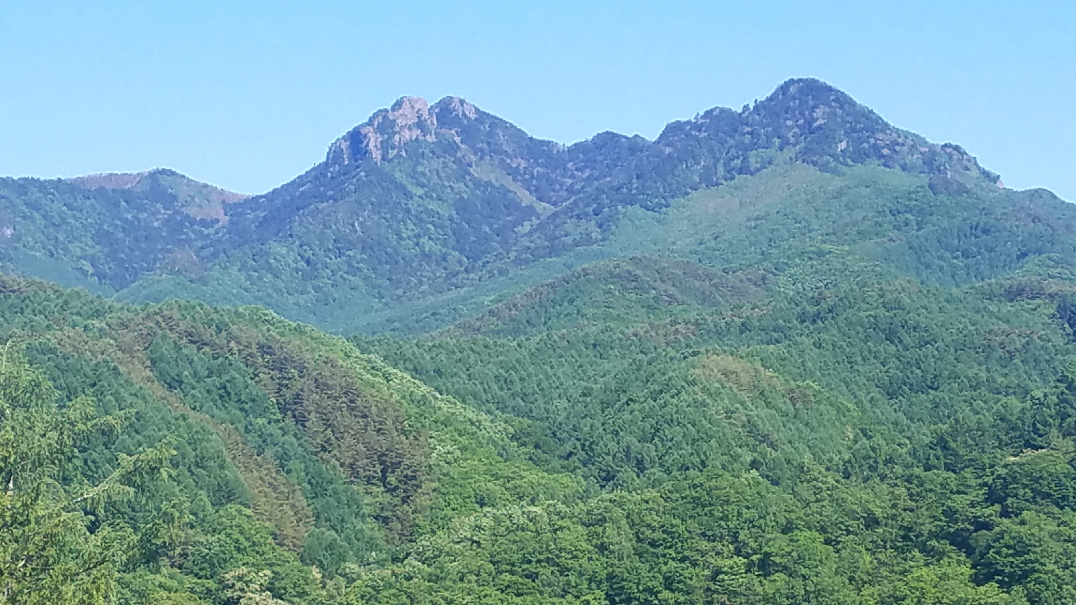 御座山から下山中に大阪の女性が転倒　ヘリで救助も足の骨を折る重傷　「日本二百名山」の一峰として人気の山　