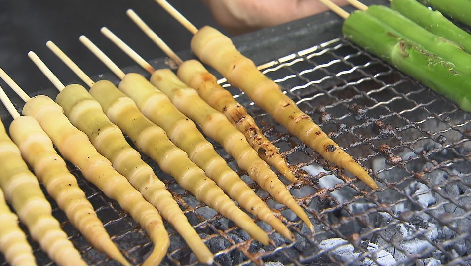 「コリコリしておいしい」旬の味覚「ネマガリダケ」を屋台で味わう「たけのこまつり」　長野・野沢温泉村で6月29日まで