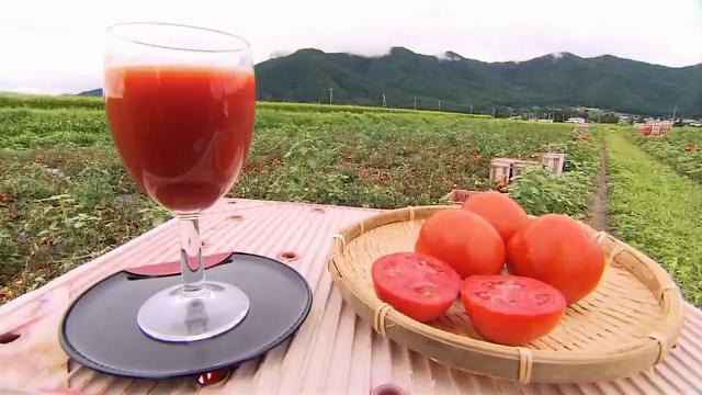 「かつては日本一の産地・長野が」ジュース用トマトの栽培面積がピーク時の20分の1以下に…高齢化や異常気象で生産者が激減　JAなどが生産拡大に向け本腰