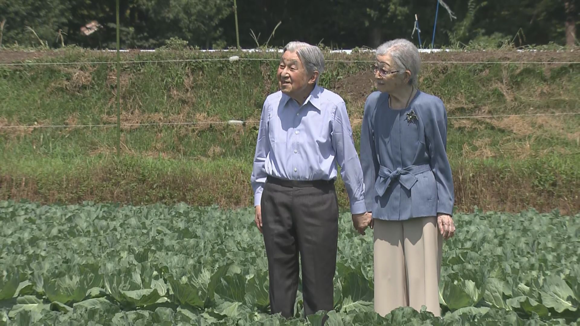 「良く育ってるみたいだね」　上皇ご夫妻が大日向開拓地を散策　キャベツの育ち具合も気にされて...　軽井沢町で29日まで静養