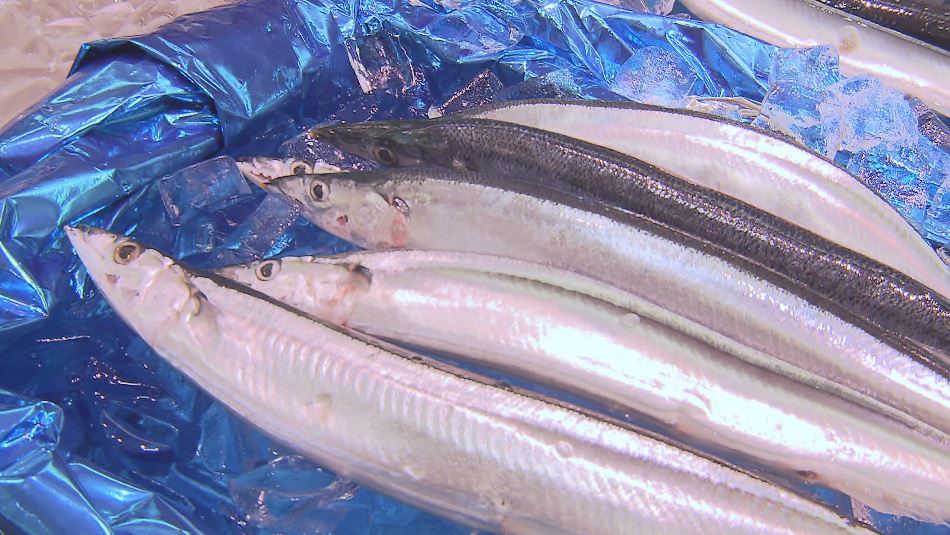 サンマが安い　1匹220円　去年に比べ、100円から150円ほど安く　今年は水揚げ好調　サイズも脂ののりも良く　　