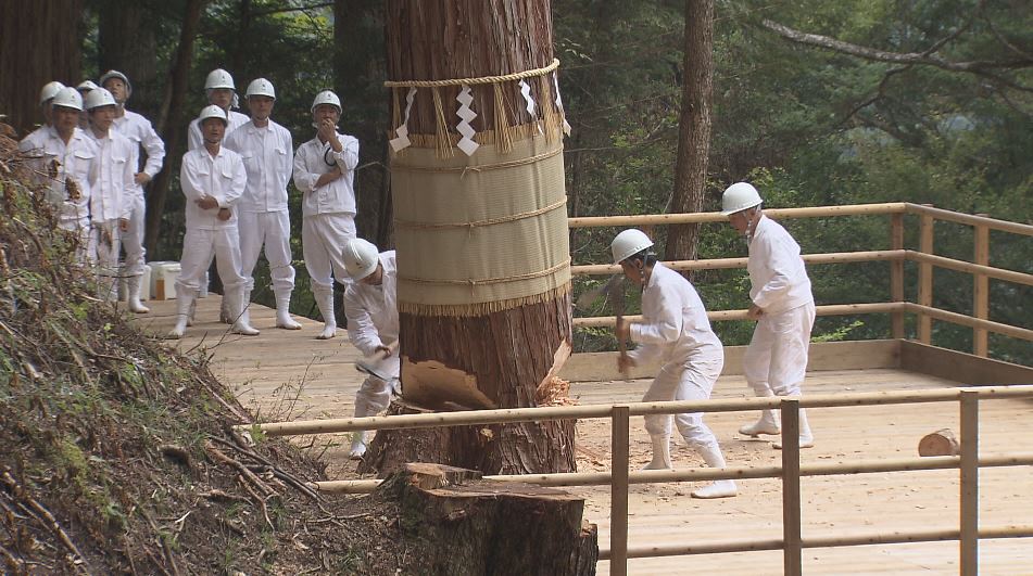 “20年に一度”伊勢神宮の社殿を建て替え御神体を遷す式年遷宮に向けた祭り「御船代祭」　高さ35ｍ、樹齢約270年のヒノキを伐採　9月下旬に伊勢に運ばれる予定　長野・上松町