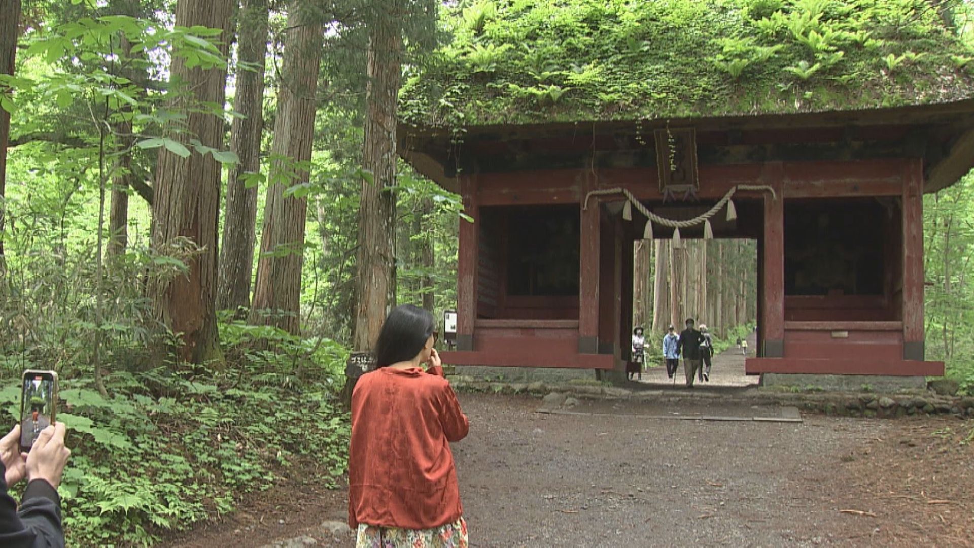 戸隠神社参道で観光客ら11人がハチに刺される　病院に搬送の小学生含む4人は全員軽症　杉の木にあったキイロスズメバチの巣は駆除