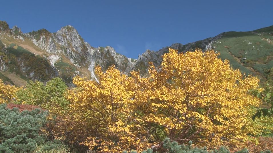 紅葉が見ごろ　標高約2600ｍの中央アルプス千畳敷カール　