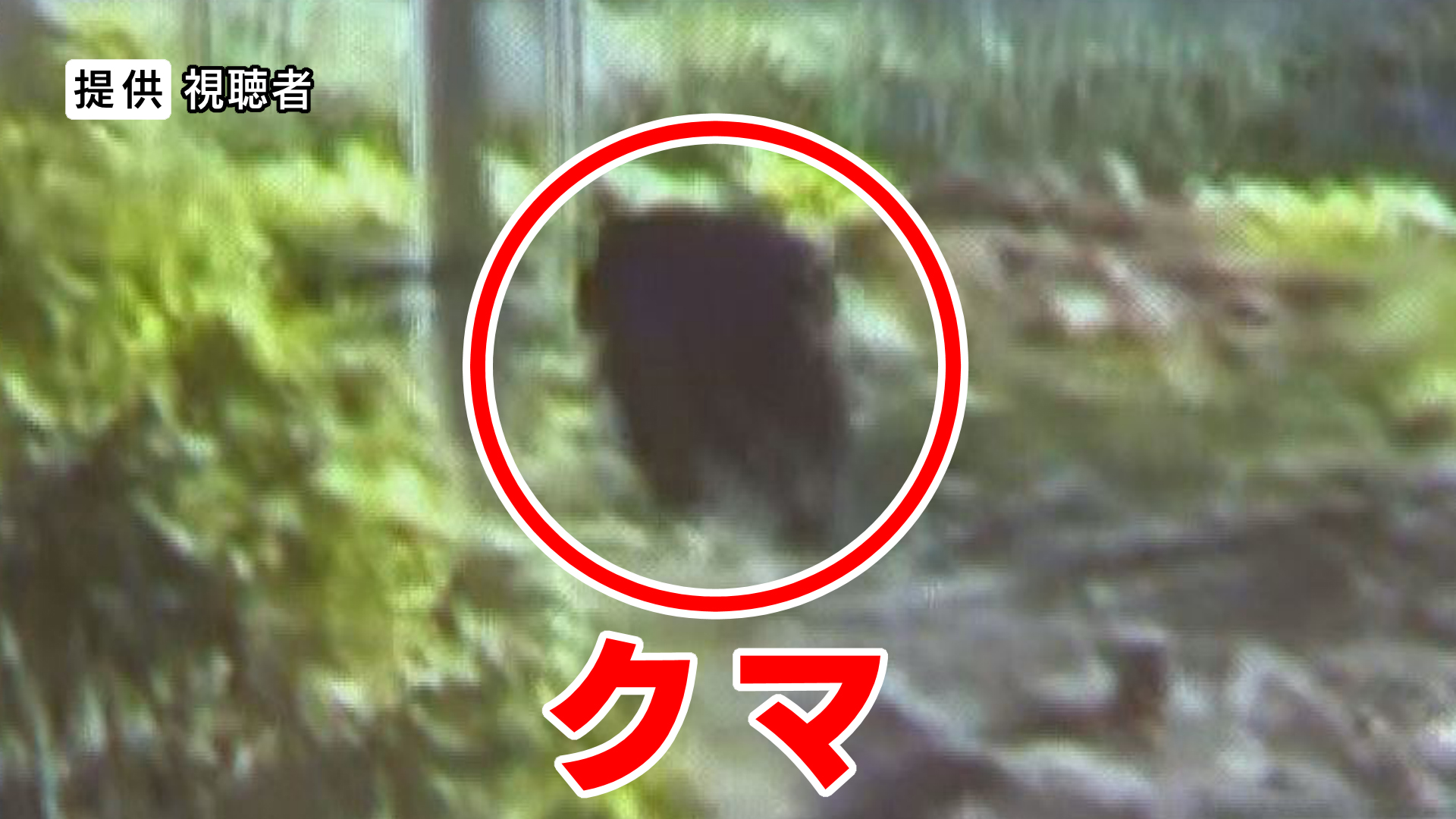 クマの出没が住宅地などで相次ぐ　住民「対策のしようがないので不安」　体長約1mの成獣か　周辺で警戒続く