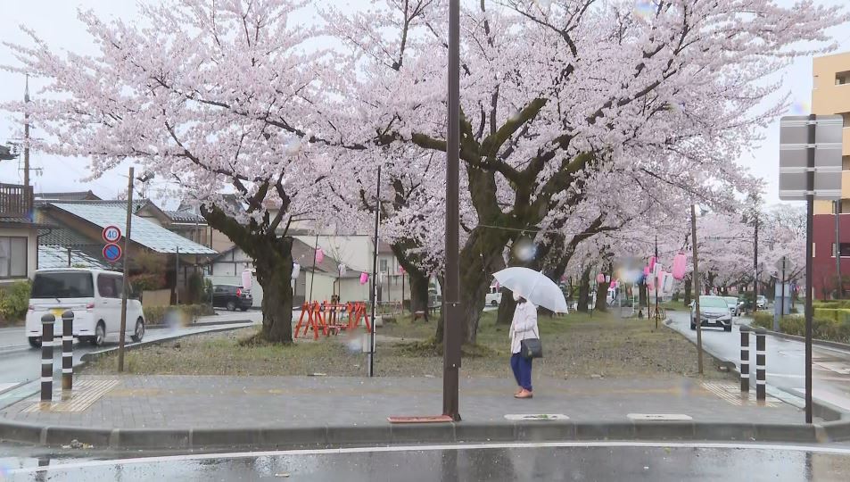 飯田市では「花散らしの雨」　北部では気温が上がる　最高気温は飯山23.4度…3月の観測史上最高　長野20.5度で4月下旬並み