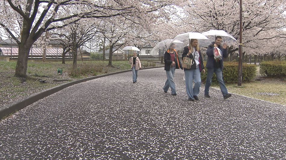 “春の嵐”　満開の桜に「花散らしの雨」　週末は？「すっきり晴れてお花見日和」「かなり気温が上昇」「暑さ対策を」　長野県