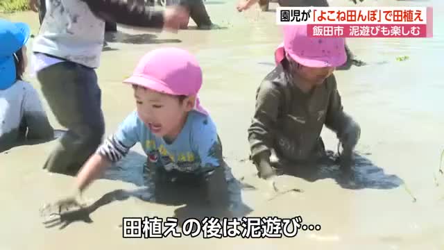 園児が「よこね田んぼ」で田植え　「泥遊び」も楽しむ　長野・飯田市