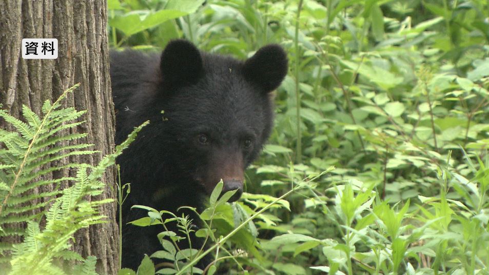 「クマを目撃した」警察が現場周辺をパトロール、住民に注意を呼びかけ　長野・高山村